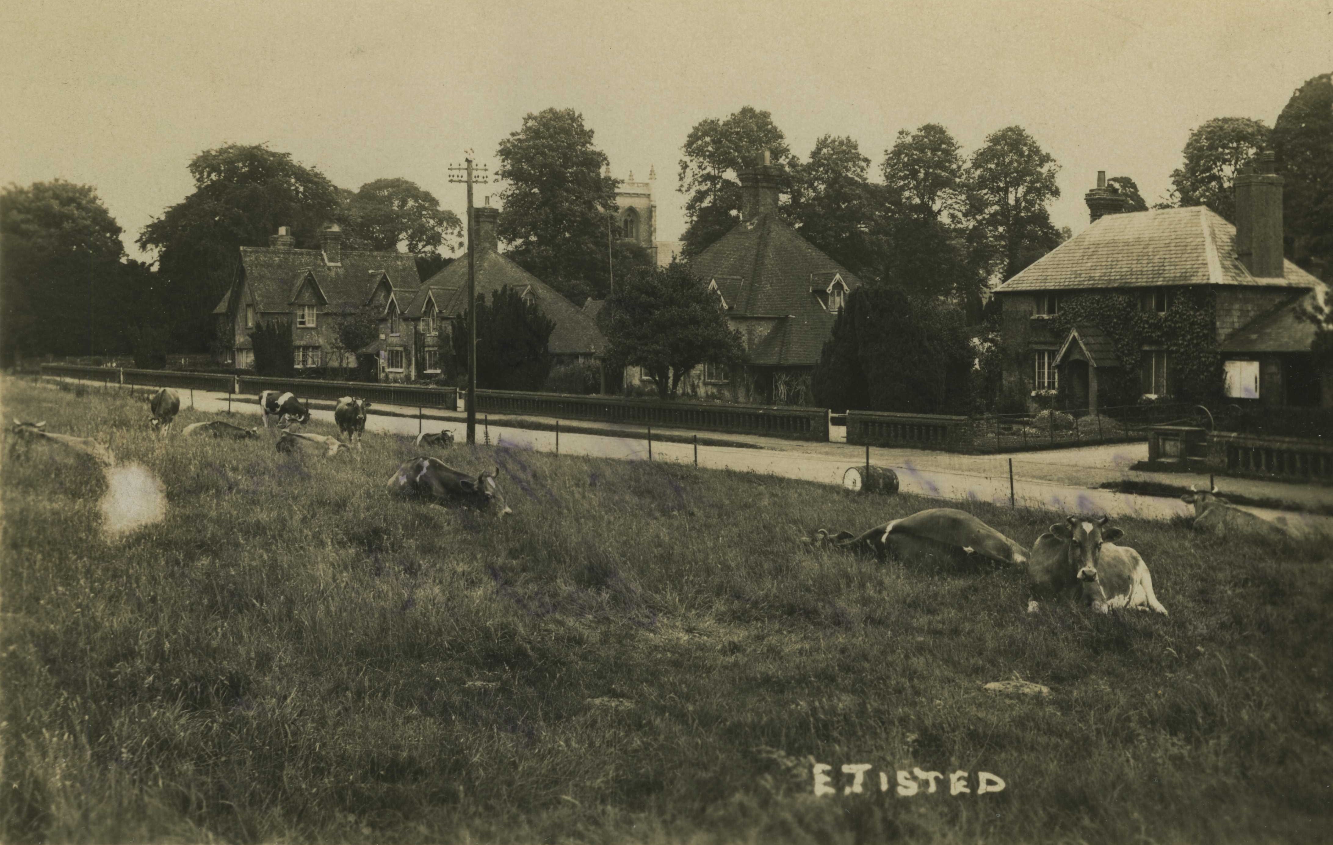 Gosport Road East Tisted c1930